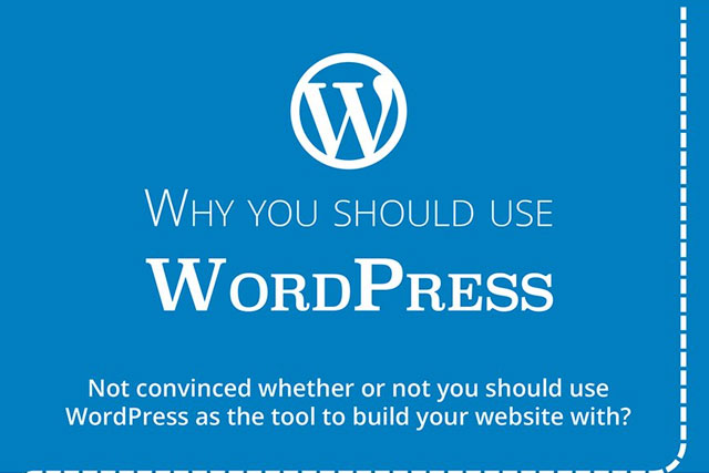 Use WordPress for Your Business Website