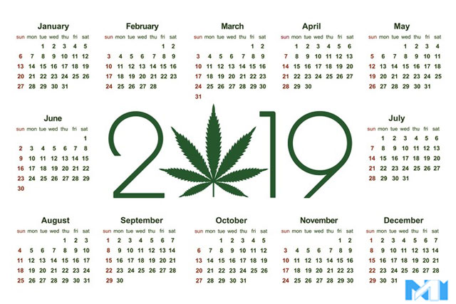 4 Cannabis Stocks Set To Fly High in 2019