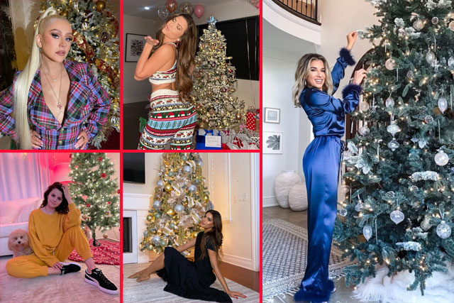 Celebrity Christmas Trees Of 2020