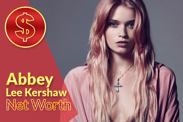 Abbey Lee Kershaw Net Worth 2021 – Biography, Wiki, Career & Facts